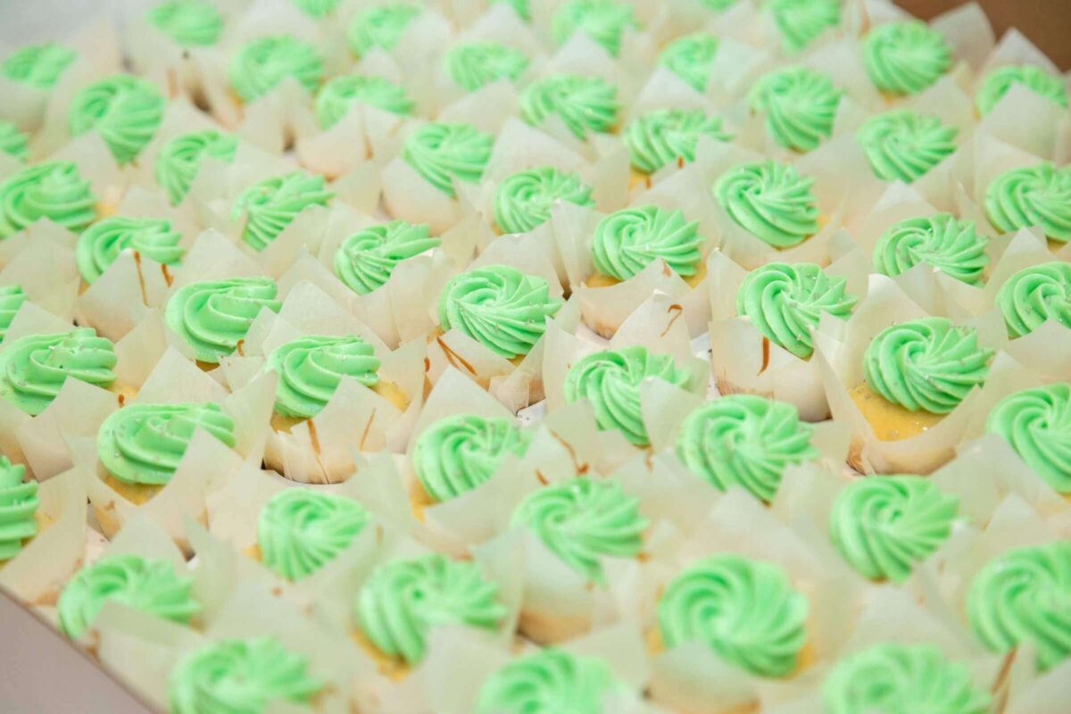 A large batch of cupcakes in white paper wrappers, each topped with a swirl of green frosting, arranged in neat rows.